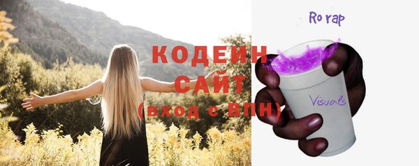 индика Богданович