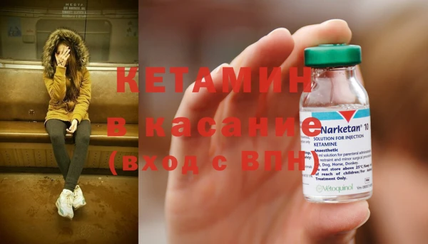индика Богданович