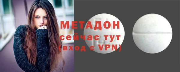 индика Богданович