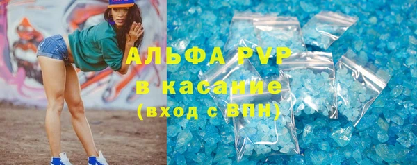 индика Богданович