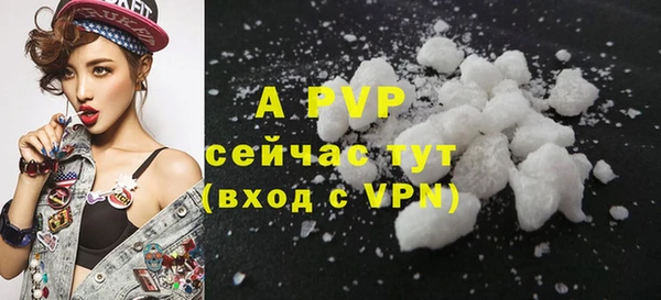 индика Богданович