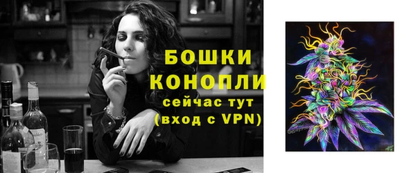 стафф Белокуриха