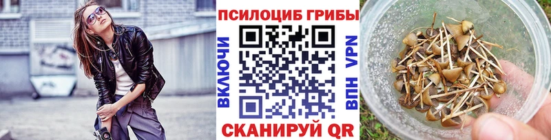 Псилоцибиновые грибы MAGIC MUSHROOMS  Кашин 