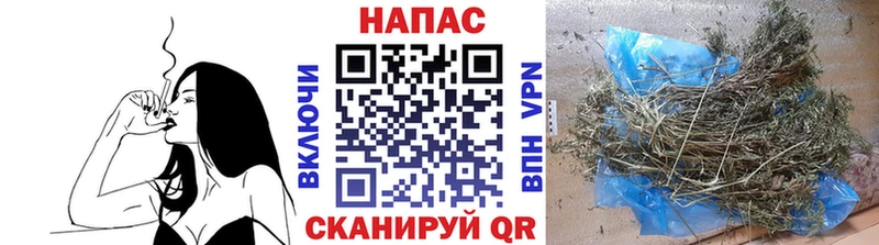 Бошки Шишки OG Kush  Кашин 